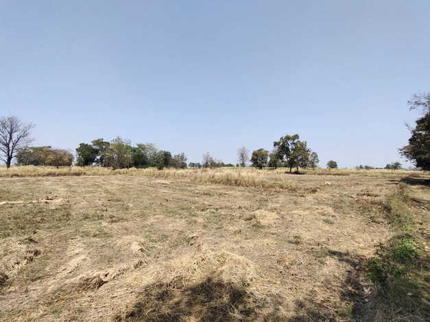 ขายที่ดิน ทำเลดี ต.ห้วยแถลง อ.ห้วยแถลง จ.นครราชสีมา (เจ้าของขายเอง)