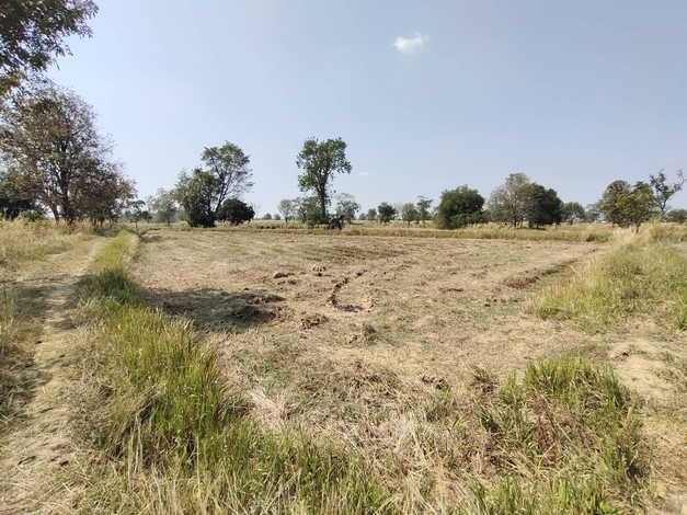 ขายที่ดิน ทำเลดี ต.ห้วยแถลง อ.ห้วยแถลง จ.นครราชสีมา (เจ้าของขายเอง)