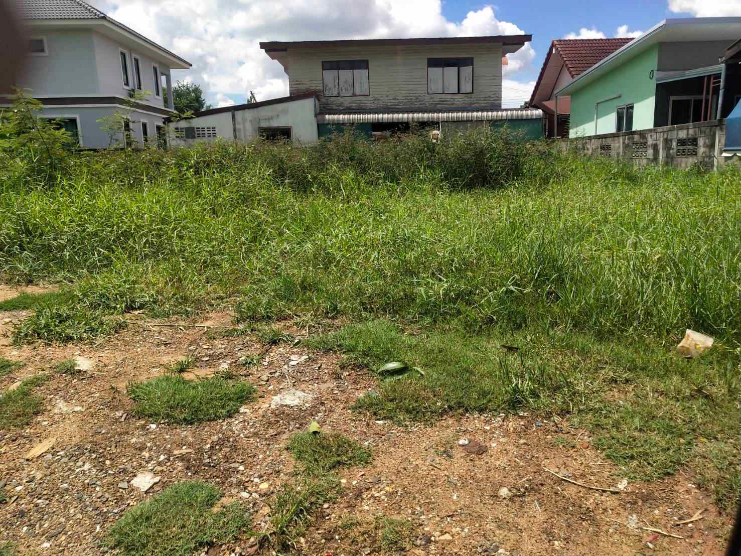 ขายที่ดิน 75.1 ตรว โนนทัน ต.ในเมือง อ.เมือง จ.ขอนแก่น