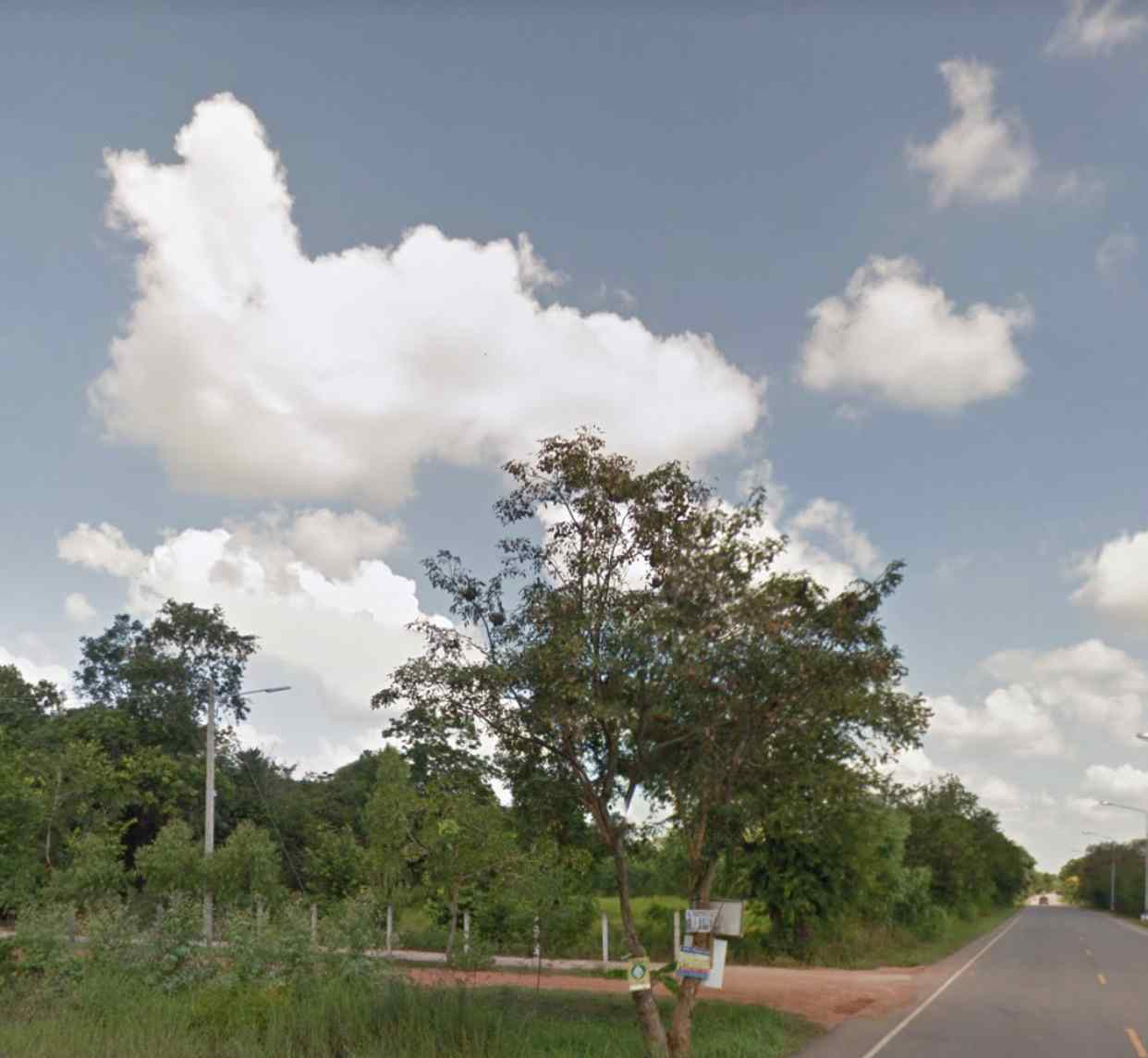 ขายที่ดินโครงการโคกหนองนาโมเดล 19 ไร่(นส3ก.) อ. เกษตรสมบูรณ์ จ.ชัยภูมิ