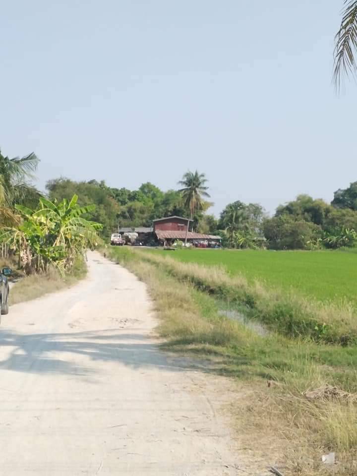 ขายที่ดิน คลอง 8 50-2-56 ไร่ ปทุมธานี ลำลูกกา ลำลูกกา