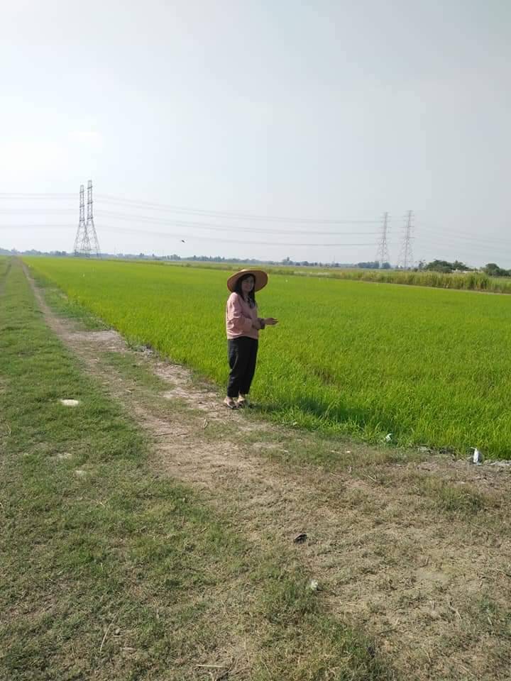 ขายที่ดิน คลอง 8 50-2-56 ไร่ ปทุมธานี ลำลูกกา ลำลูกกา