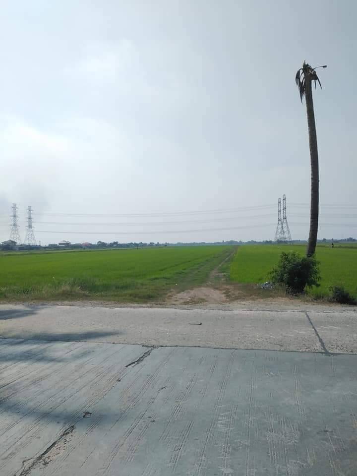 ขายที่ดิน คลอง 8 50-2-56 ไร่ ปทุมธานี ลำลูกกา ลำลูกกา
