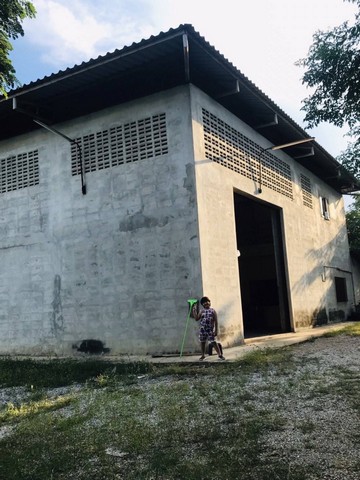 ขายด่วน ที่ดินพร้อมโกดัง ขนาด 250 ตารางวา ติดถนนเพชรเกษม ต.ดอนกระเบื้อง อ.บ้านโป่ง จ.ราชบุรี