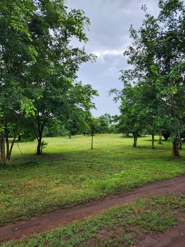 ขายที่ดินทำเลสวย อำเภอแม่วาง จังหวัดเชียงใหม่ ขนาด 118 ไร่ 2 งาน (มีที่งอก)