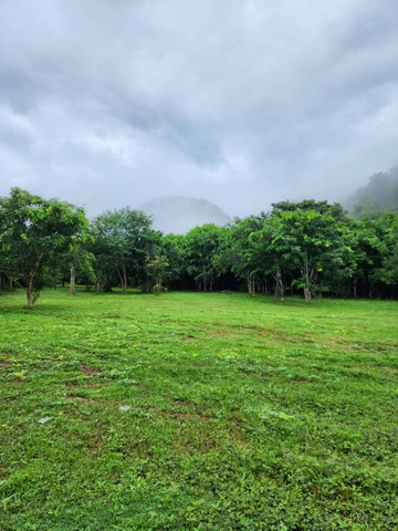 ขายที่ดินทำเลสวย อำเภอแม่วาง จังหวัดเชียงใหม่ ขนาด 118 ไร่ 2 งาน (มีที่งอก)