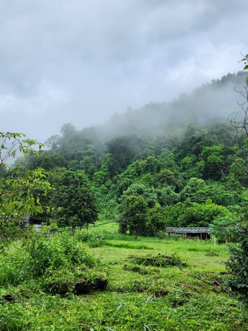 ขายที่ดินทำเลสวย อำเภอแม่วาง จังหวัดเชียงใหม่ ขนาด 118 ไร่ 2 งาน (มีที่งอก)