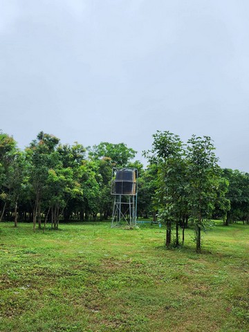 ขายที่ดินทำเลสวย อำเภอแม่วาง จังหวัดเชียงใหม่ ขนาด 118 ไร่ 2 งาน (มีที่งอก)