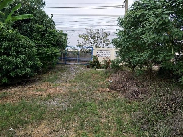 ที่ดิน 1-3-66 ไร่ ต.ไร่ขิง อ.สามพราน จ.นครปฐม (ปากซอยเป็นบริษัทซาบีน่า)