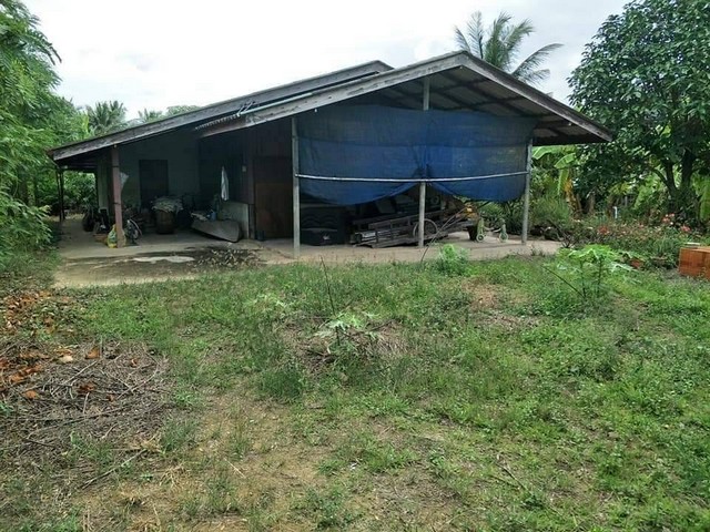 ที่ดิน 1-3-66 ไร่ ต.ไร่ขิง อ.สามพราน จ.นครปฐม (ปากซอยเป็นบริษัทซาบีน่า)