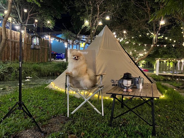 เซ้งร้านอาหารกึ่งร้านเหล้า ร้านชิวแนวแคมป์ปิ้ง ถนน บางไผ่ หนองเผางาย  ตำบล บางคูรัด อ บางบัวทอง จ.นนทบุ