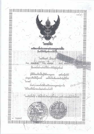 ขายที่ดินสวยทำเลดี 32ไร่ 72ตารางวา พร้อมโฉนดครุฑแดง ตำบลอู่ตะเภา ชัยนาท