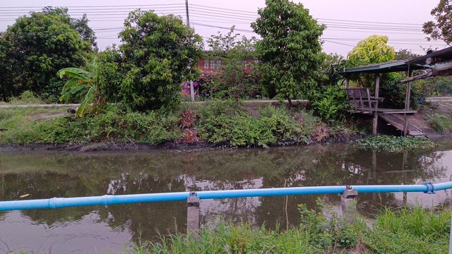 ที่ดิน ที่ดิน เมืองปทุมธานี 5600000 THAI BAHT  0 SQ.WA 10 ngan 38 ไร่ ใกล้ ใกล้ตัวเมืองปทุมธานี NEW ที่ดินถมแล้ว 35% ติดถนน 2 ด้าน หน้ากว้าง 90 เมตร