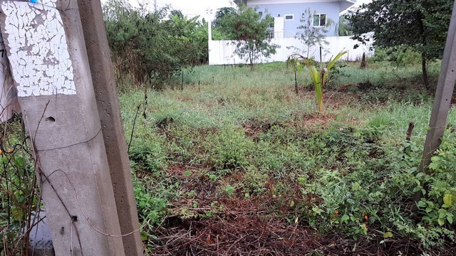 พื้นที่ดิน ที่ดิน ลำโพ 2800000 B.  40 Square Wah 1 งาน 0 ไร่ ใกล้ 1. องค์การบริหารส่วนตำบลลำโพ 2. ที่ว่าารอำเภอบางบัวทอง ทำเลทอง