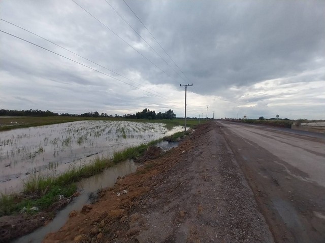 ขายที่นา พื้นที่ 31 ไร่1 งาน 69 ตารางวา ติดแยกเลี่ยงเมืองชุมแสง   นครสวรรค์  ZK172