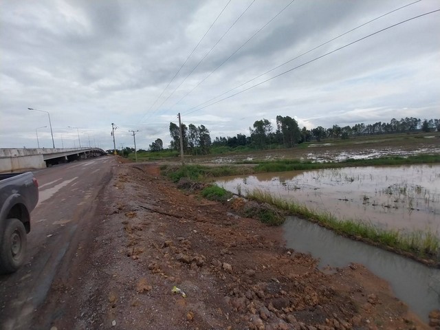 ขายที่นา พื้นที่ 31 ไร่1 งาน 69 ตารางวา ติดแยกเลี่ยงเมืองชุมแสง   นครสวรรค์  ZK172