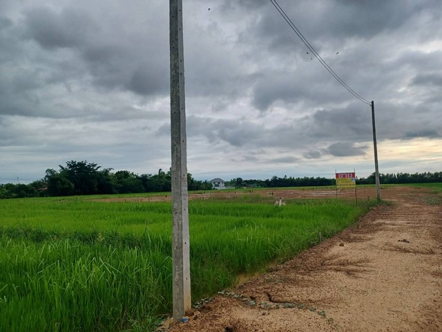 ขายที่ดินเปล่า 2 - 3 - 0 ไร่  ต.ท่าโพธิ์ อ.เมือง จ.พิษณุโลก   ZK180