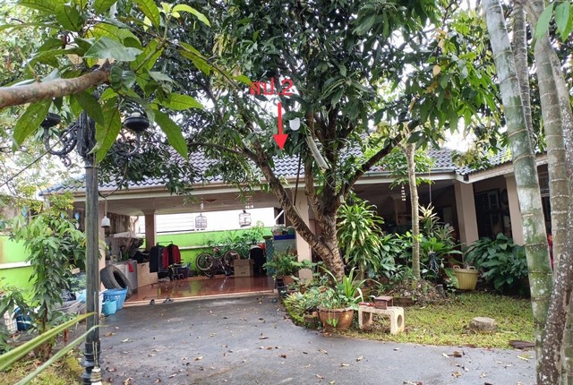 ข่ายบ้านเดี่ยวโครงการ  สินธรบายพาส อ.เมือง จังหวัดสุราษฎร์ธานี PKK02-13433