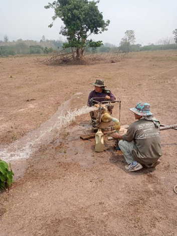 ขายที่ดิน สวนเกษตร และเลี้ยงสัตว์ ติดแม่น้ำน่าน 110 ไร่ เข้าออกได้หลายทาง บ้านวังผา  ตำบลทุ่งช้าง น่าน 