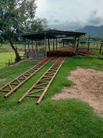 ขายที่ดิน สวนเกษตร และเลี้ยงสัตว์ ติดแม่น้ำน่าน 110 ไร่ เข้าออกได้หลายทาง บ้านวังผา  ตำบลทุ่งช้าง น่าน 