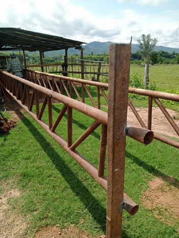 ขายที่ดิน สวนเกษตร และเลี้ยงสัตว์ ติดแม่น้ำน่าน 110 ไร่ เข้าออกได้หลายทาง บ้านวังผา  ตำบลทุ่งช้าง น่าน 