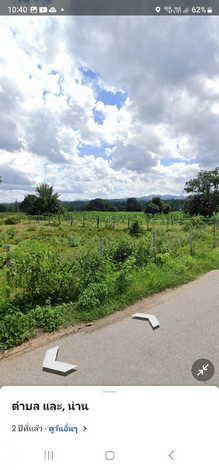 ขายที่ดิน สวนเกษตร และเลี้ยงสัตว์ ติดแม่น้ำน่าน 110 ไร่ เข้าออกได้หลายทาง บ้านวังผา  ตำบลทุ่งช้าง น่าน 