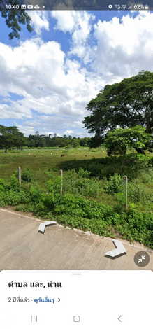 ขายที่ดิน สวนเกษตร และเลี้ยงสัตว์ ติดแม่น้ำน่าน 110 ไร่ เข้าออกได้หลายทาง บ้านวังผา  ตำบลทุ่งช้าง น่าน 