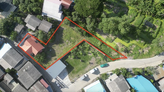 ขายบ้าน พร้อม ที่ดิน ซอยบ้านกลาง วัดศาลเจ้า (วัดมะขาม) ปทุมธานี ถูกมาก ๆ