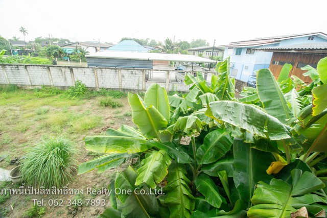 ขายบ้าน พร้อม ที่ดิน ซอยบ้านกลาง วัดศาลเจ้า (วัดมะขาม) ปทุมธานี ถูกมาก ๆ