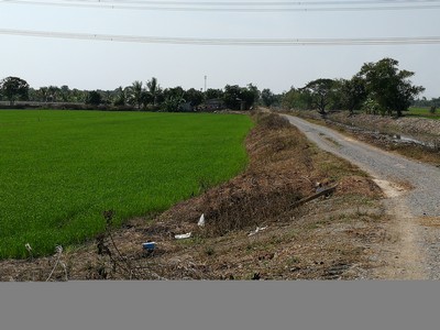 ที่ดิน 11.78 ไร่ ขายด่วน ไร่ละ 1.5 ลบ.  ติดคลอง ติดถนน ราษฏร์นิยม มีน้ำ ไฟ พร้อม