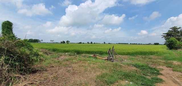ขายด่วนที่ดิน แบ่งขาย ที่ดินขนาด 34 ไร่ ริมถนน 340 ตำบลแพรกศรีราชา อำเภอสรรคบุรี จังหวัดชัยนาท