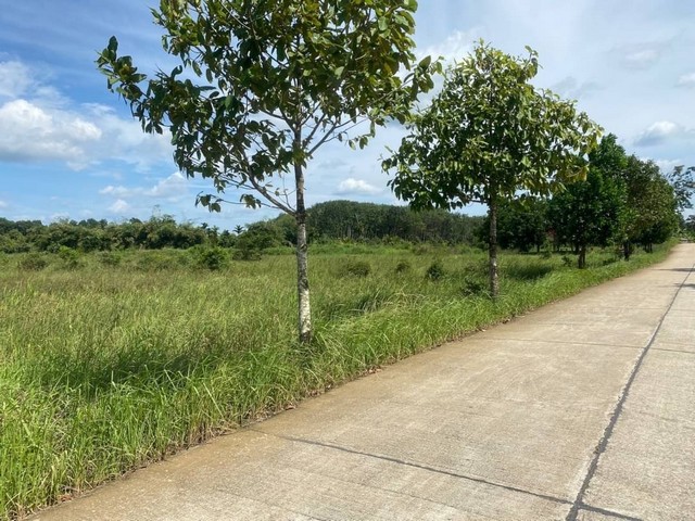 ที่ดินแปลงสวย อ.มะขาม จ.จันทบุรี ผืนใหญ่ เหมาะกับทำธุรกิจ/