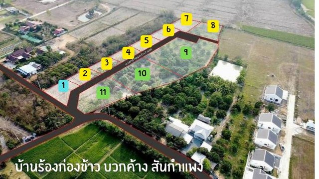 ขายที่ดินสันกำแพง สายใหม่ เชียงใหม่ ใกล้ถนน แยกสันกลาง 15 นาที ตรวละ 6,500 เนื้อที่ 200 ตรว แปลงมุม ติดถนนคอนกรีต