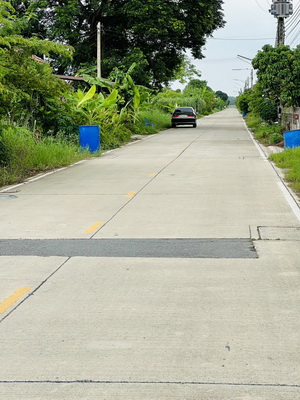 ที่ดินเปล่า 80 ตารางวา  บึงบอน  หนองเสือ จ.ปทุมธานี 