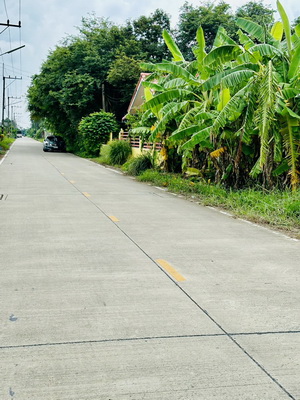 ที่ดินเปล่า 80 ตารางวา  บึงบอน  หนองเสือ จ.ปทุมธานี 