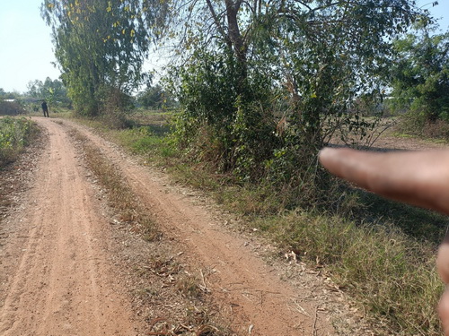 ขายที่ดินสวยแปลงใหญ่ 9 ไร่ ทำเลดี อยู่ใกล้ชุมชน หน้ากว้าง 19 เมตร ลึก 227 เมตร