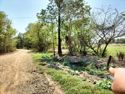 ขายที่ดินเปล่า 14-0-24 ไร่ทำเลดี อยู่ในละแวกชุมชน หน้ากว้าง 110เมตร ลึก 218 เมตร