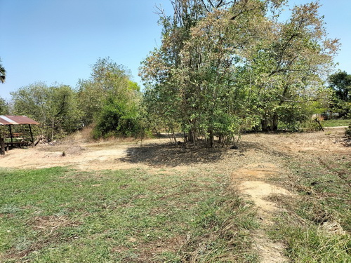 ขายที่ดินเปล่า 14-0-24 ไร่ทำเลดี อยู่ในละแวกชุมชน หน้ากว้าง 110เมตร ลึก 218 เมตร