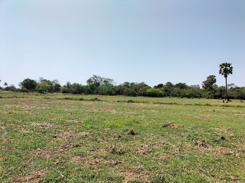 ขายที่ดินเปล่า 14-0-24 ไร่ทำเลดี อยู่ในละแวกชุมชน หน้ากว้าง 110เมตร ลึก 218 เมตร