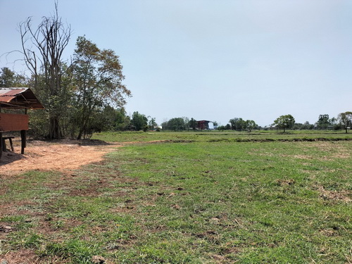 ขายที่ดินเปล่า 14-0-24 ไร่ทำเลดี อยู่ในละแวกชุมชน หน้ากว้าง 110เมตร ลึก 218 เมตร