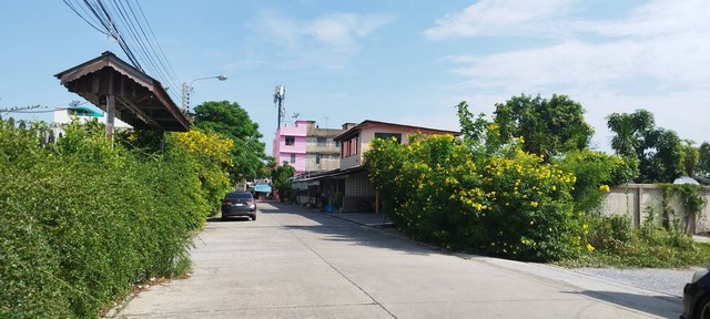 ขายที่ดินสีม่วง สุขสวัสดิ์ 74 วัดชมนิมิตร 700 ม.ถึง ถ.สุขสวัสดิ์