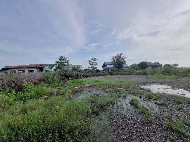 ขายที่ดินเทียนทะเล 23 ถมแล้ว 228 ตร.ว.เหมาะสร้างบ้าน โกดัง
