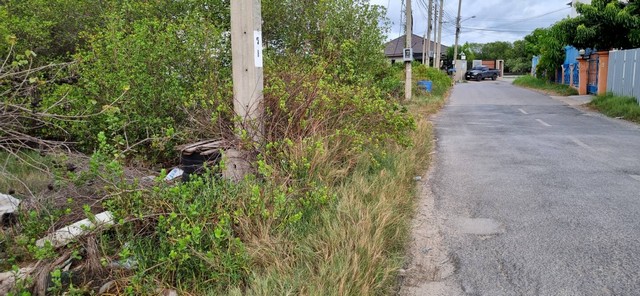 ขายที่ดินเทียนทะเล 23 ถมแล้ว 228 ตร.ว.เหมาะสร้างบ้าน โกดัง