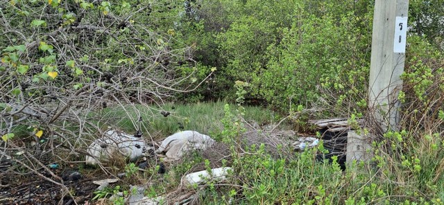 ขายที่ดินเทียนทะเล 23 ถมแล้ว 228 ตร.ว.เหมาะสร้างบ้าน โกดัง