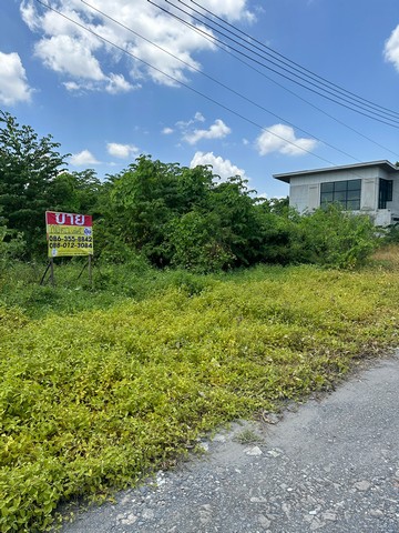 ขายที่ดิน 200 ตารางวา ซอยนามวงศ์ ถนนจตุโชติ   ZT235 