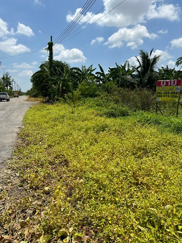 ขายที่ดิน 200 ตารางวา ซอยนามวงศ์ ถนนจตุโชติ   ZT235 