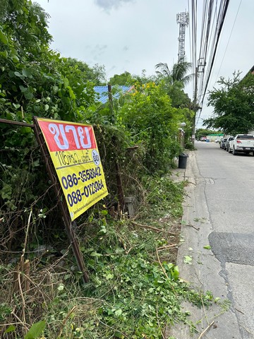 ขายที่ดิน 105 ตารางวา  ซอยลาดพร้าว87 แยก 32  กรุงเทพฯ  ZT231 