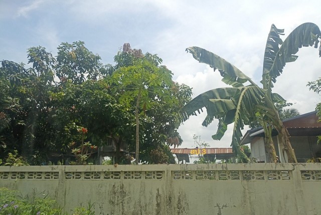 ขายบ้านครึ่งตึกครึ่งไม้   อำเภอกันทรวิชัย  มหาสารคาม