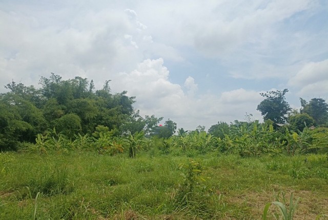 ขายบ้านครึ่งตึกครึ่งไม้   อำเภอกันทรวิชัย  มหาสารคาม