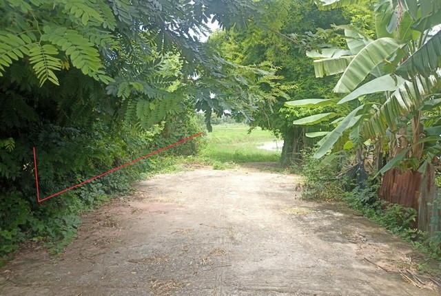 ขายบ้านครึ่งตึกครึ่งไม้   อำเภอกันทรวิชัย  มหาสารคาม